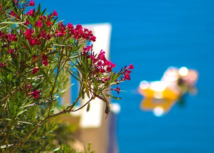 Jasmin Willa Posedarje