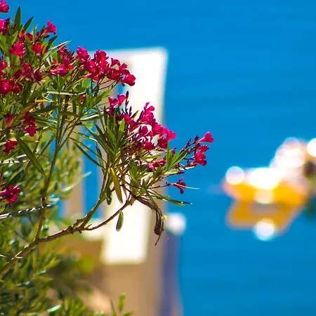 Jasmin Vila Posedarje